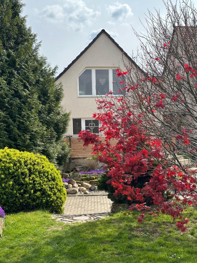 Ferienhaus Harzvorland 발렌슈테트 외부 사진